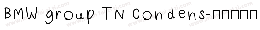 BMW group TN condens字体转换